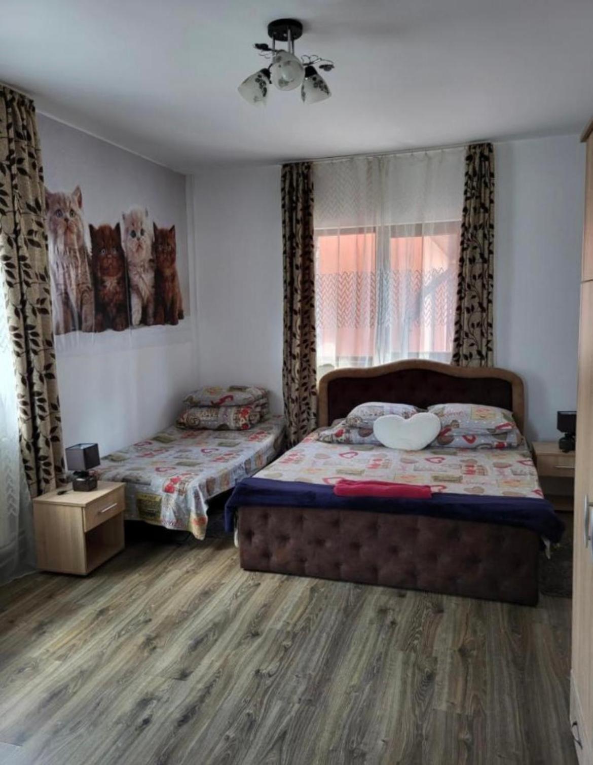 Апартаменты Casa Raraului Кымпулунг-Молдовенеск Экстерьер фото
