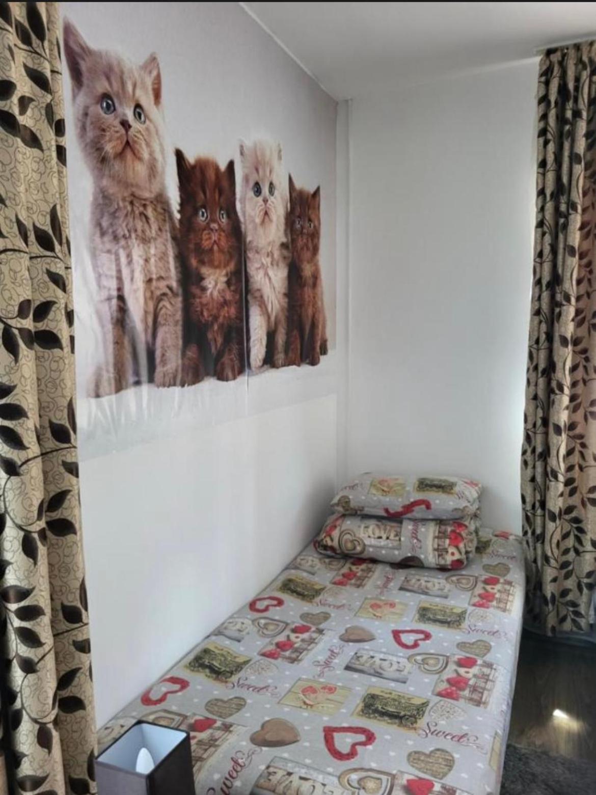 Апартаменты Casa Raraului Кымпулунг-Молдовенеск Экстерьер фото