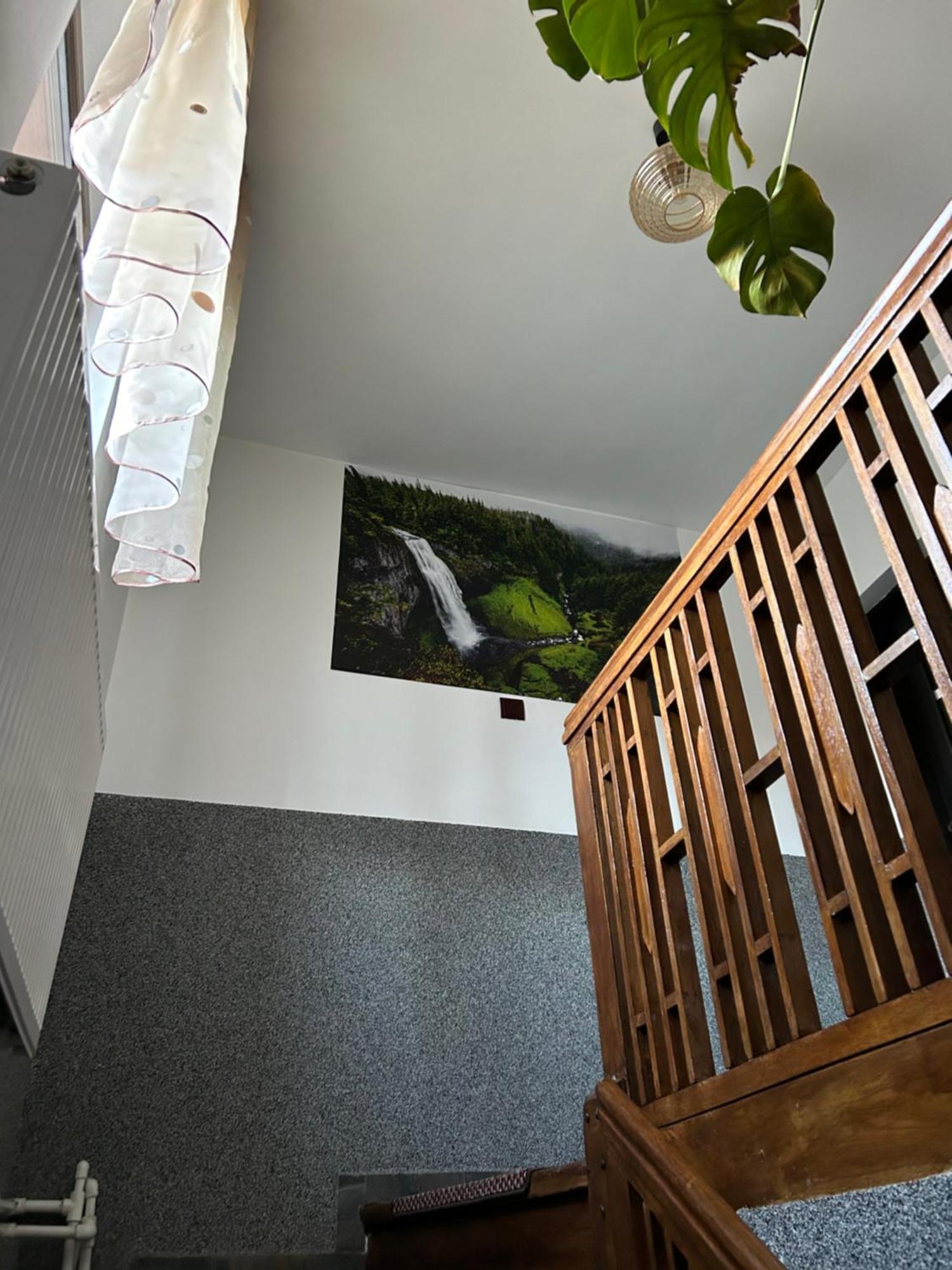 Апартаменты Casa Raraului Кымпулунг-Молдовенеск Экстерьер фото